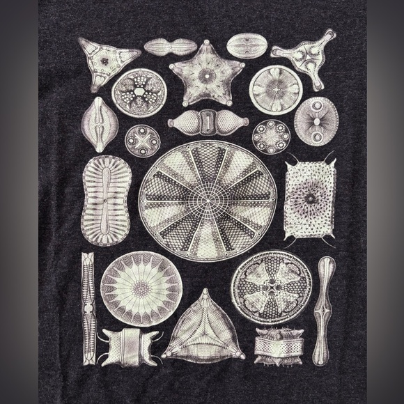 Next Level Apparel Shirt - Picture 3 of 3